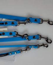 Zoo-Shop GmbH & Swissdogbox.ch Bild 6