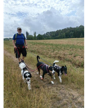 Wuff-Ontour Hundetraining & Gassi-Service Bild 1