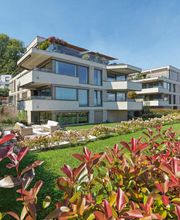 brauneroth ag Bild 2