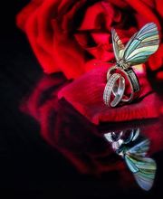 Etienney Florence image 8