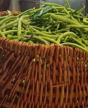 La Renaissance Maison Ceyte image 18