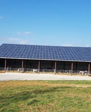 Ecodoubio image 8