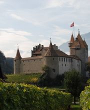 Cave du Clos Aimond Sàrl Bild 1