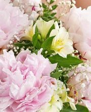 Monceau Fleurs image 3