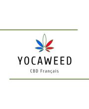 Yocaweed image 3