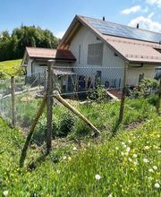 Barrett Zaunbau + Gartenbau Bild 6