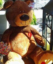 peluche-04.jpg