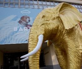 Naturhistorisches Museum Bern Bild 1