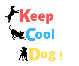 Keep Cool Dog image 20