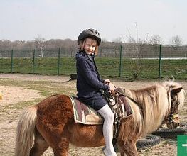 Kinderbauernhof Wigger Bild 12