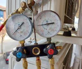 197899636-1-7IegON966r1648736494991.jpeg