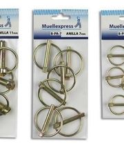 Muellexpress imagen 14