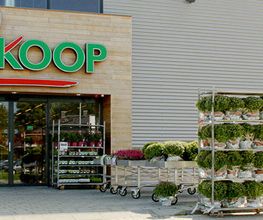 Lemmer Welkoop NF