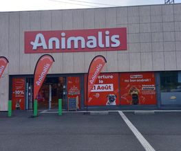 Animalis Saran image 1