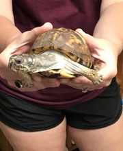 Kid's Country image 7