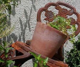 Rothenbühler Gartenbau AG Bild 13