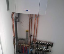 Roux F image 5