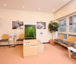Dr. Andreas Seide Tierarzt Bild 3