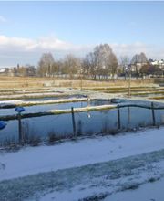 Forellenzucht Schmutz Bild 7