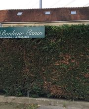 Au Bonheur Canin image 1