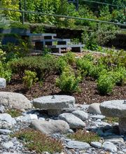 Wittwer Blumen Gartenbau AG Bild 8