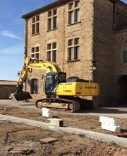 Cardinal Myriam image 3