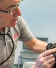 Tierarzt Waghäusel, Tierarztpraxis Waghäusel-Kirrlach Bild 6