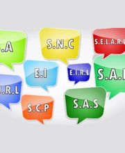 Ex-Eco Conseils SARL image 6