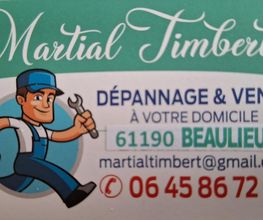 Martial Timbert image 8