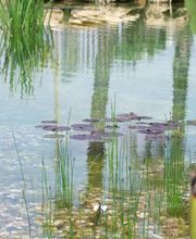 Eurowaterland image 9