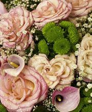 Les Serres de Creney image 1