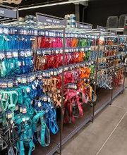 Tom&Co Cholet - Animalerie - Toilettage - Dogwash image 15