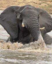 Legends Travel GmbH Bild 9