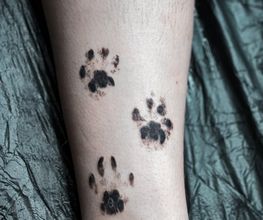 Bloodyhands Tattoos Bild 5