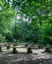 FriedWald Bremer Schweiz Bild 12