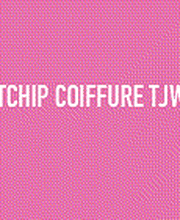 Tchip image 3