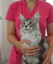 ZeVet - Cabinet vétérinaire Bild 6