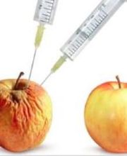 SCHÖNHEILEN - Ina Leitner | Hormonbehandlung - Abnehmspritze - Faltenbehandlung Bild 8