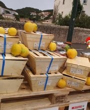 Spar image 13