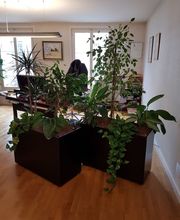 Gonvers C. et B. Sàrl Bild 1