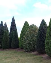 No Limit Gartengestaltung Bild 2