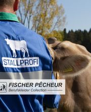 Fischer & Co AG Bild 6