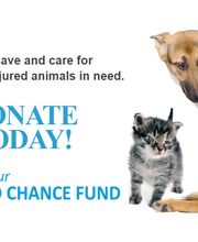 Humane Society Of Greater Miami North image 7