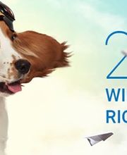 Shopware Agentur Web Labels: Full-Service Web Agentur Bild 12