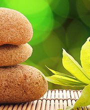 Auvet Pascal image 1