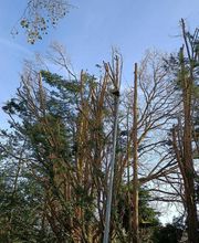 RS Elagages Services image 6