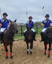 Haras du Cercle image 6