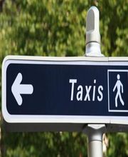 Taxi Dehan Nicolas image 3