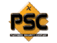 Partners Security Company