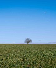 Harry Fichtner Fotostudio Bild 12